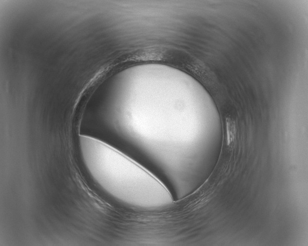 X0000056320300200508260858