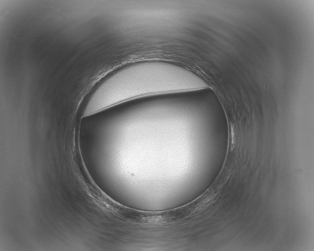 X0000056320301200508260858