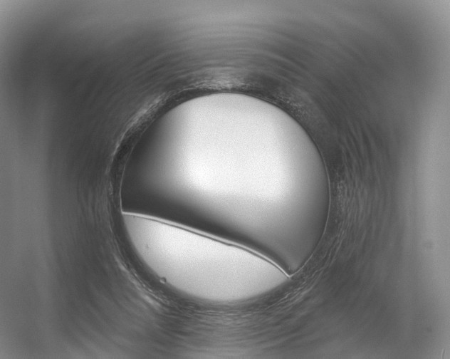 X0000056320304200508260858