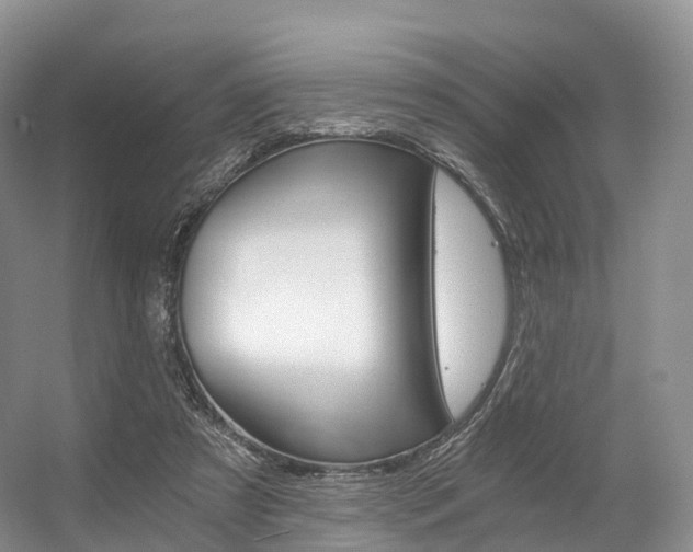 X0000056320305200508260858