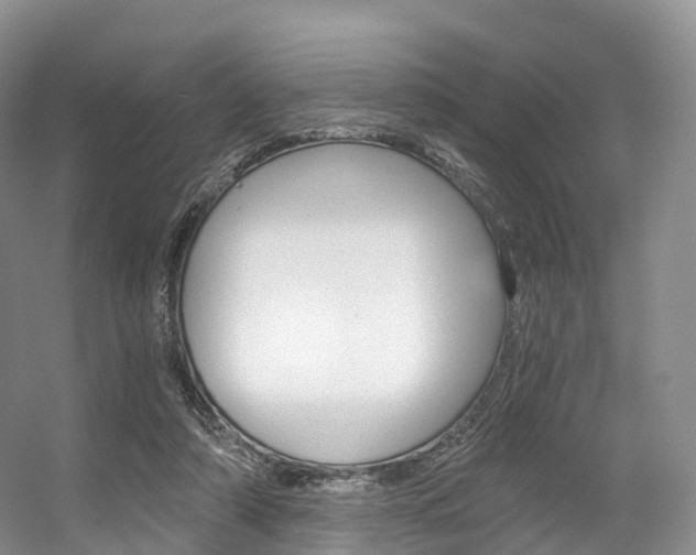 X0000056320306200508260858