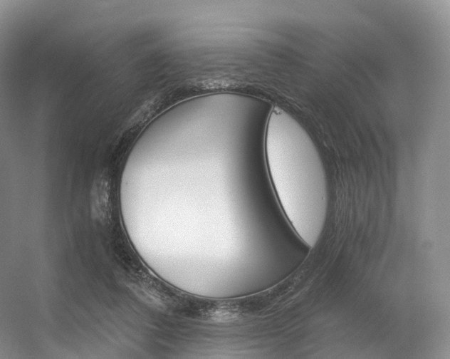 X0000056320308200508260858