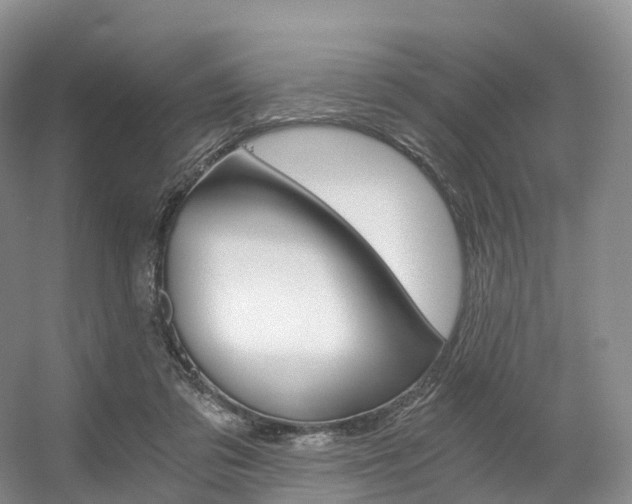 X0000056320309200508260858