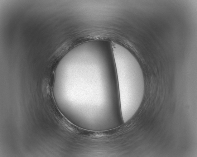 X0000056320313200508260858
