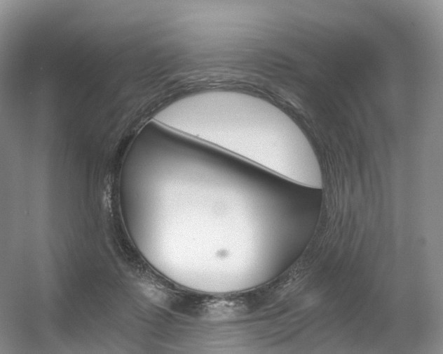 X0000056320315200508260858