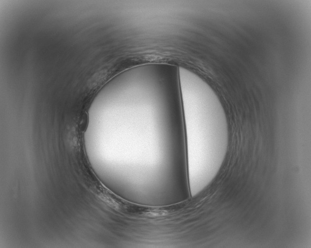 X0000056320317200508260858