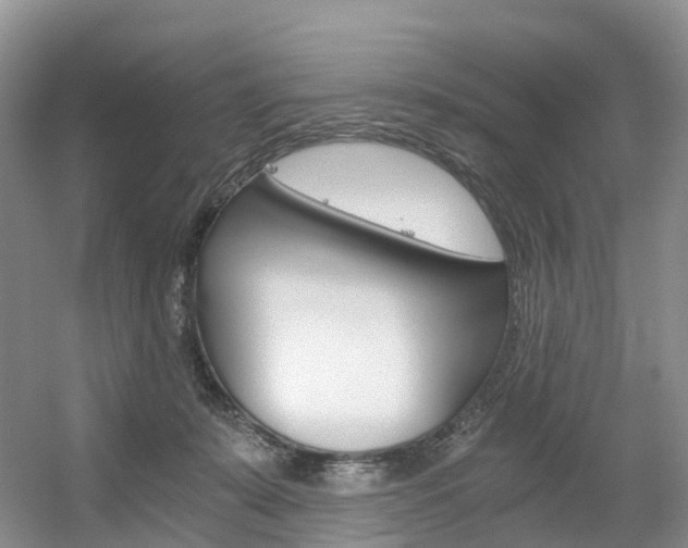 X0000056320319200508260858