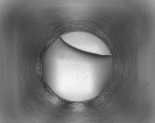X0000056320322200508260858