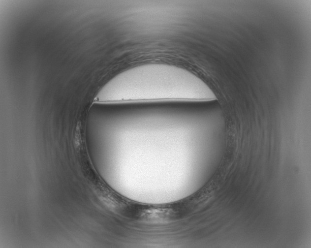 X0000056320323200508260858