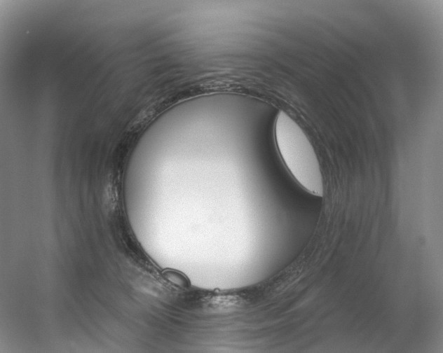 X0000056320324200508260857