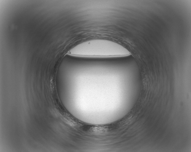 X0000056320327200508260857