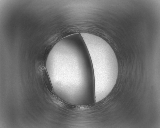 X0000056320329200508260857