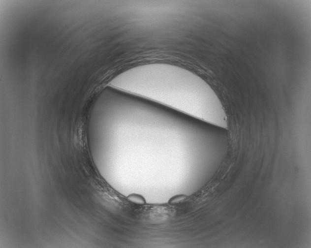 X0000056320330200508260857