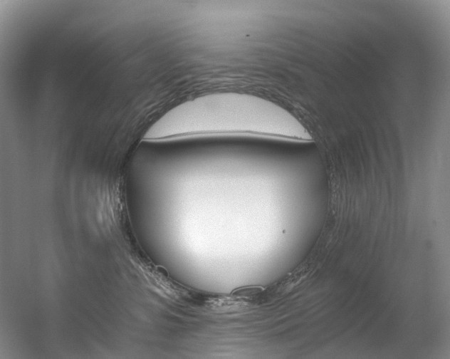 X0000056320331200508260857