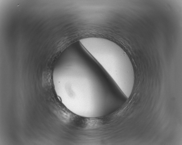 X0000056320336200508260857