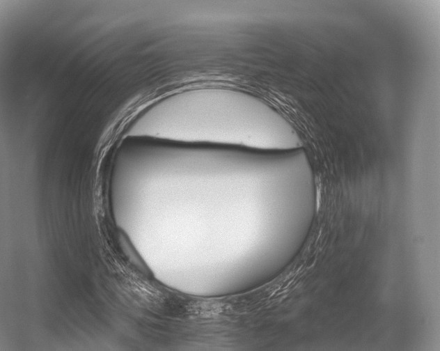 X0000056320339200508260857