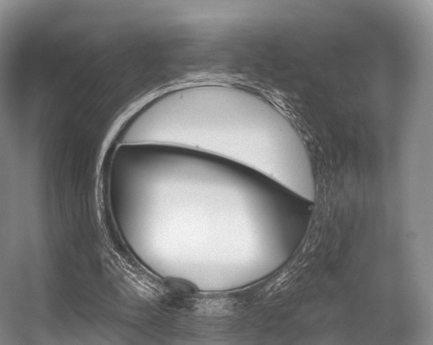 X0000056320342200508260857