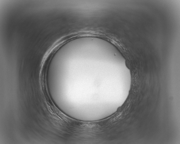 X0000056320343200508260857