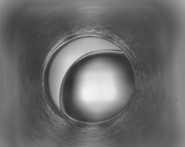 X0000056320344200508260857