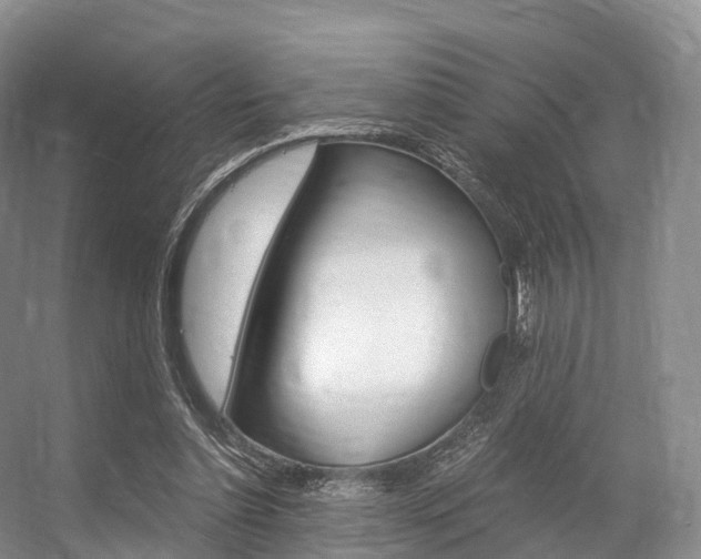 X0000056320348200508260857