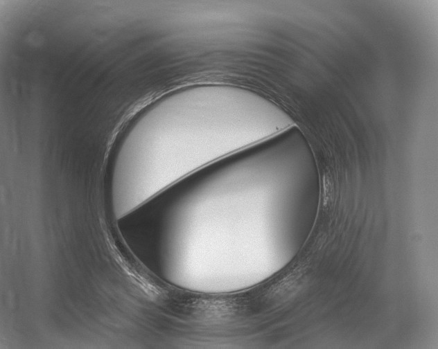 X0000056320349200508260857