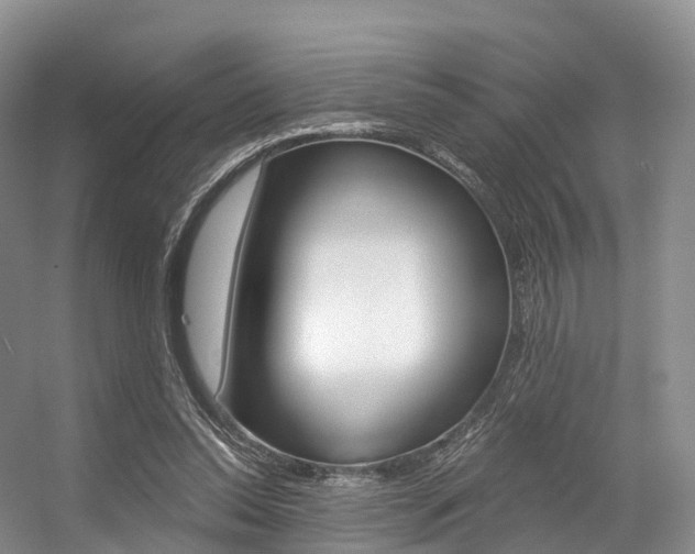 X0000056320350200508260857