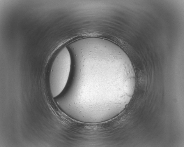 X0000056320351200508260857