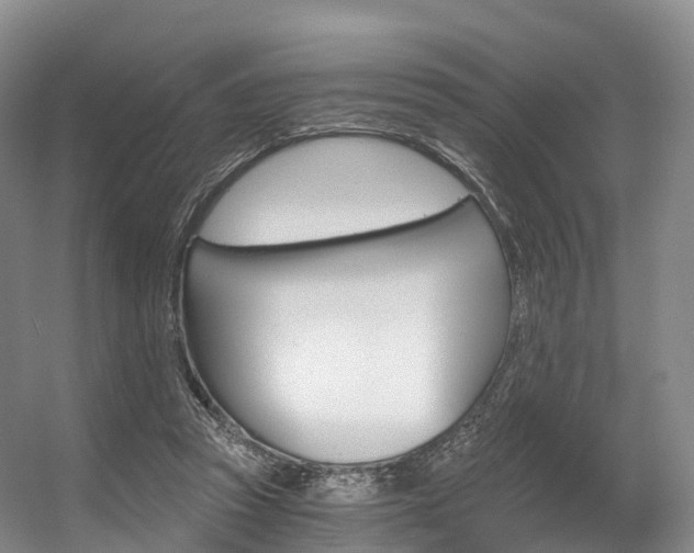 X0000056320353200508260857