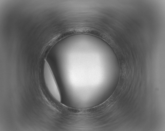 X0000056320356200508260857
