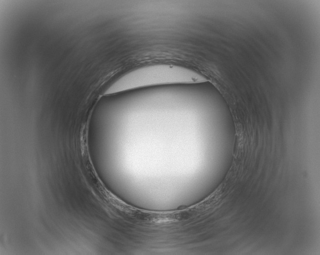 X0000056320360200508260857
