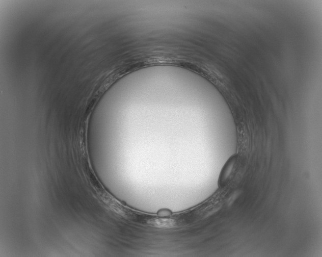 X0000056320361200508260857