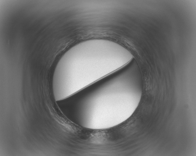 X0000056320362200508260857