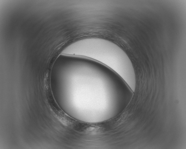 X0000056320364200508260857