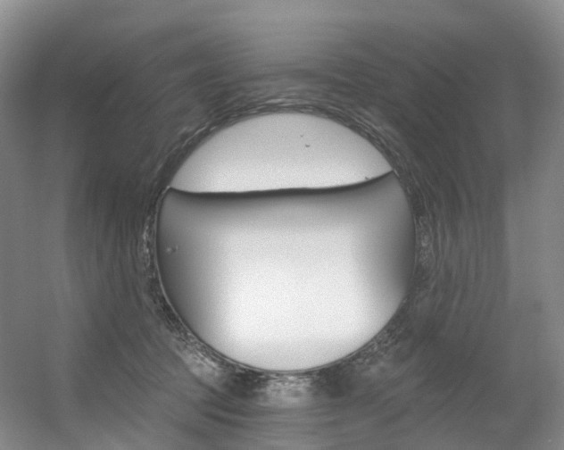 X0000056320369200508260857