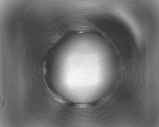 X0000056320383200508260857