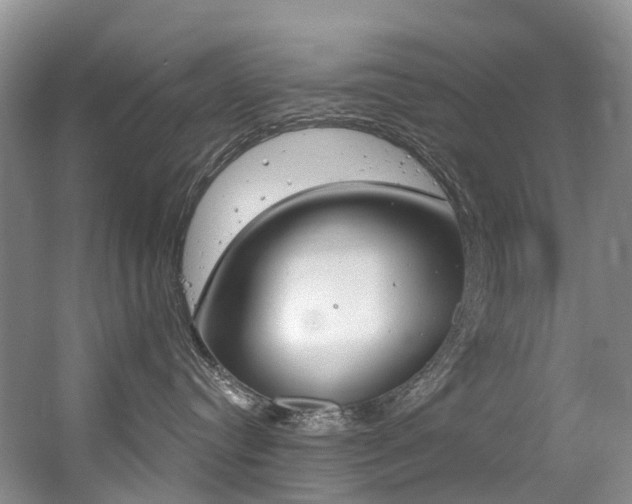 X0000056320384200508260857