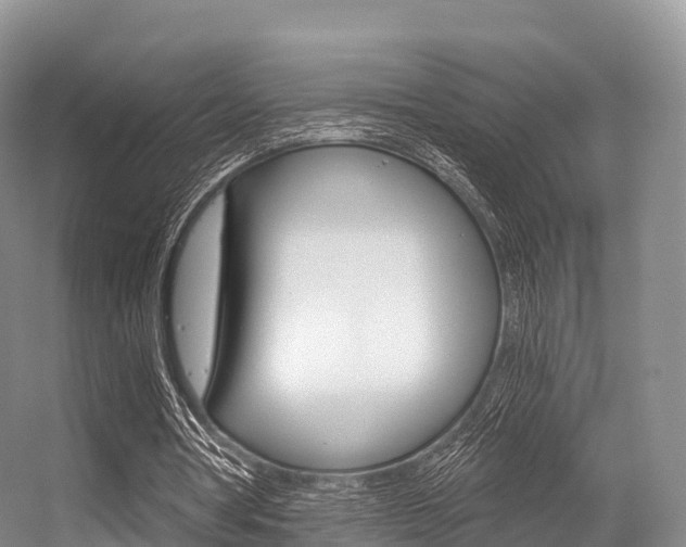 X0000056320386200508260856