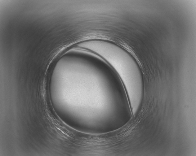 X0000056320387200508260856