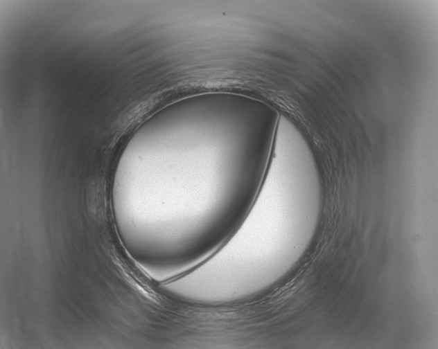 X0000056320397200508260856