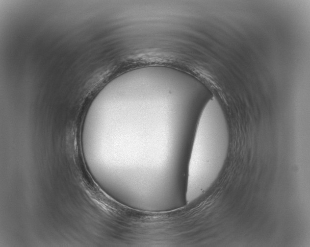 X0000056320398200508260856