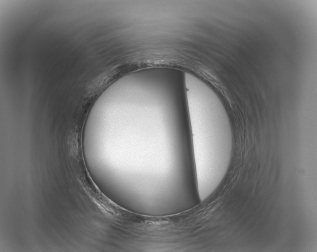 X0000056320401200508260856