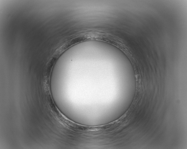 X0000056320411200508260856