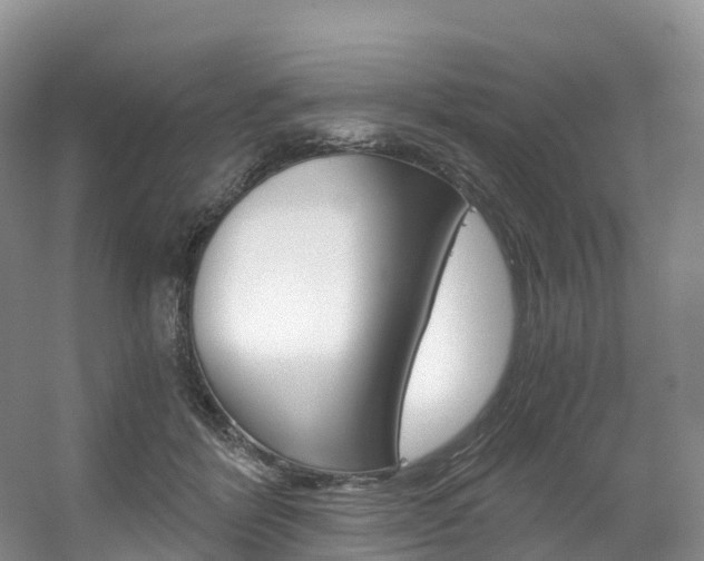 X0000056320412200508260856