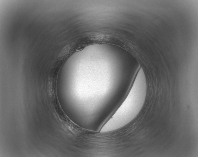 X0000056320416200508260856
