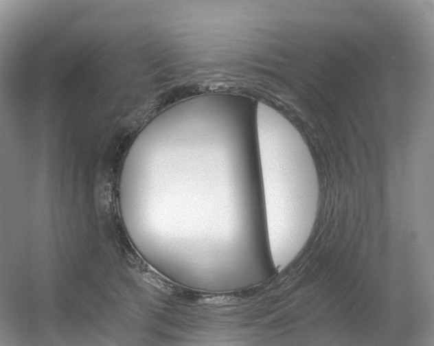 X0000056320417200508260856