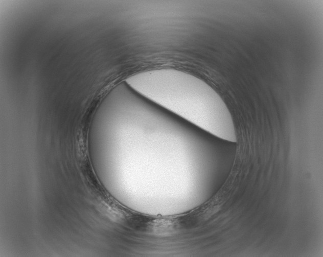 X0000056320418200508260856