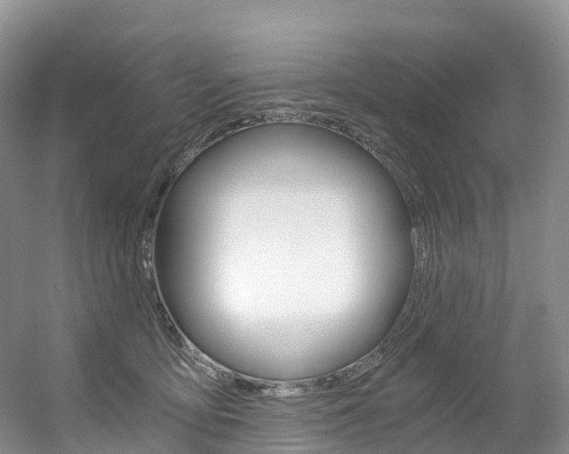 X0000056320419200508260856