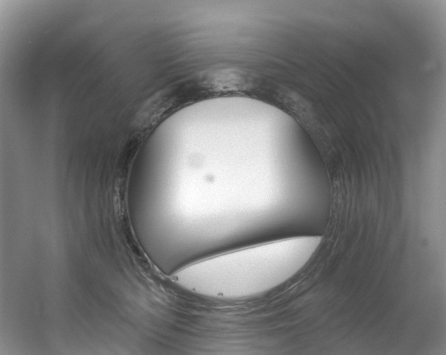 X0000056320422200508260856