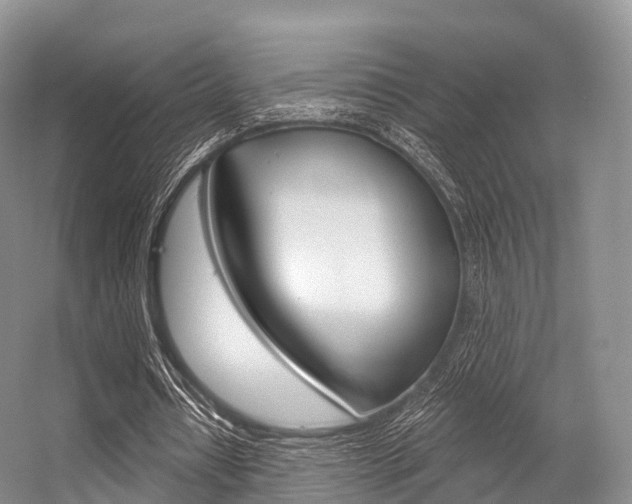X0000056320434200508260855