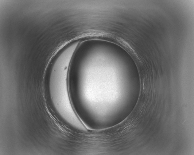 X0000056320436200508260855